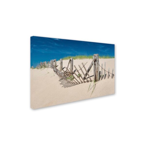Michael Blanchette Photography 'Worn Beach Fence' Canvas Art,22x32